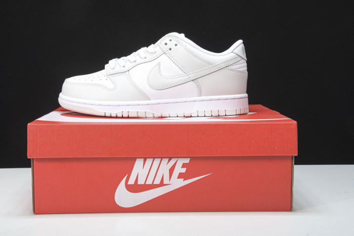 Nike Dunk Low "Photon Dust" DD1503-103
