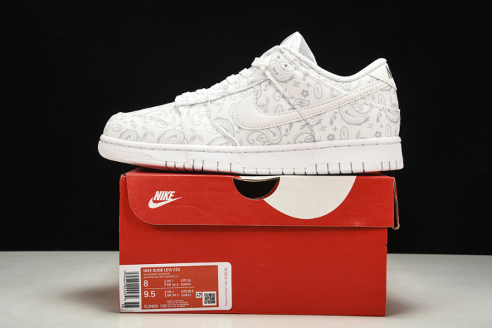 Nike Dunk Low DJ9955-100