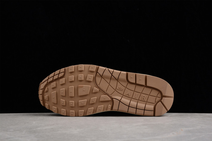 Concepts x Nike Air Max 1 DN1803-500