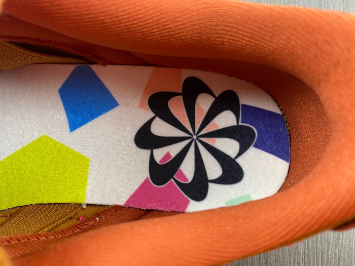 Nike SB Low DH4402-200